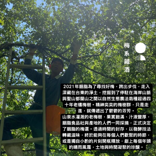 胭脂原味梅酒_朱｜新年賀歲原木禮盒